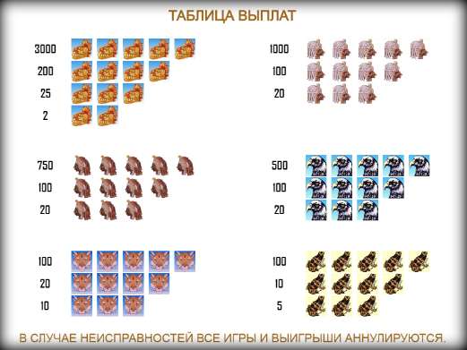 Таблица выплат и коэффициентов